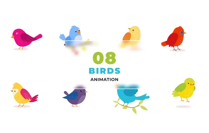 Animated Colorful Birds Template