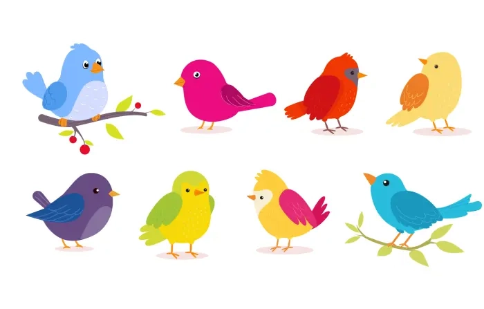 Collection of Colorful Birds Illustration