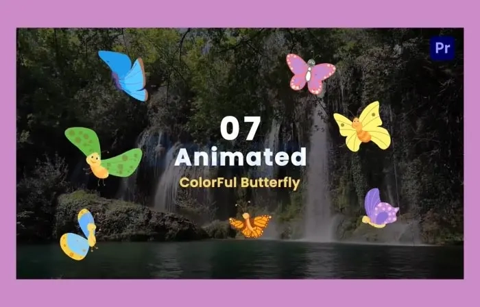 Colorful Butterfly Character Design Animation