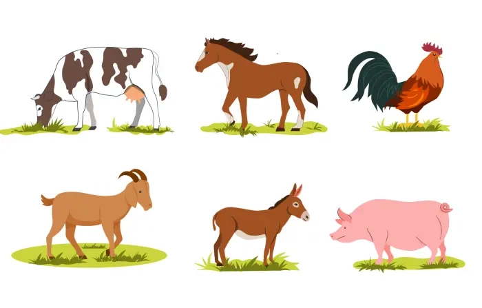 Farm Animals Flat Character Illustration