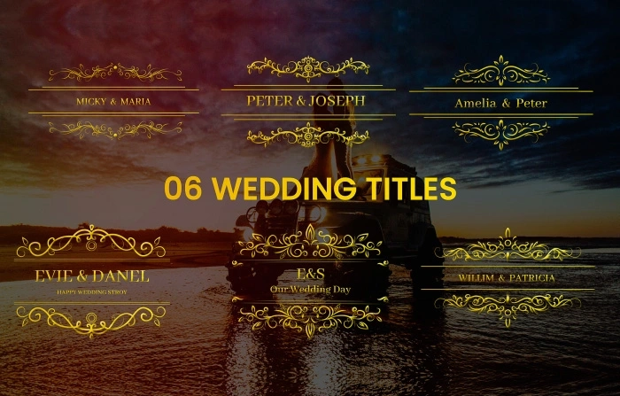 Golden Fonts Wedding Titles Element Pack After Effects Template
