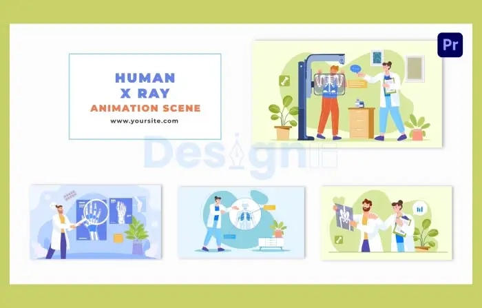 Human Body X-Ray Flat Character Animation Scene