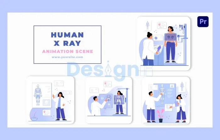 Human Character X Ray Animation Scene