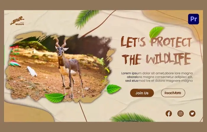 Save the Wildlife Intro