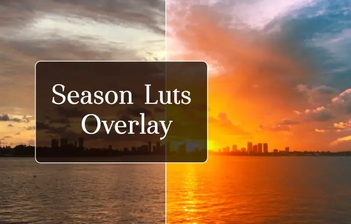 Season Luts Overlay