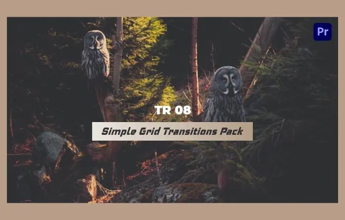 Simple Grid Transitions Pack