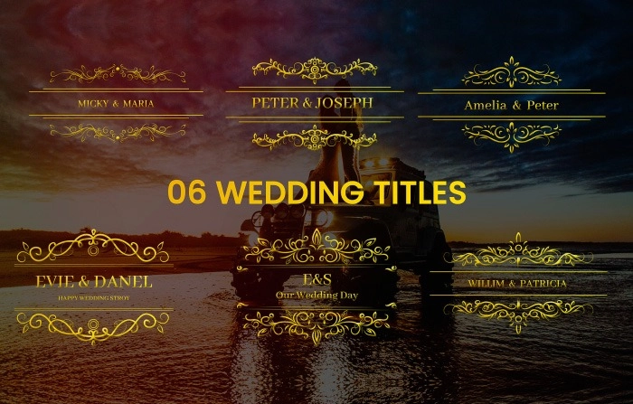 Wedding Titles Element Motion Graphics Template