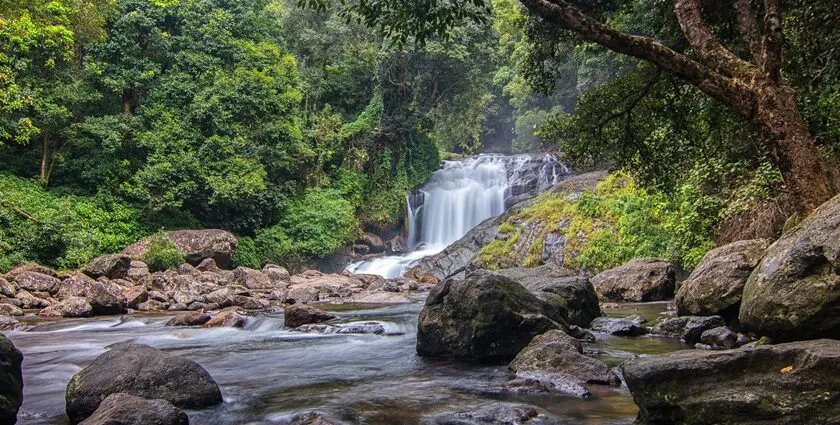 Lakkam Waterfalls  A Hidden Paradise in Kerala You Must Visit