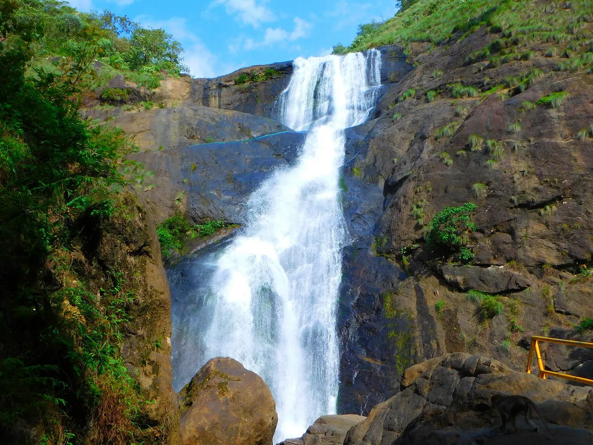 Palaruvi Waterfalls  A Must-Visit Cascade in Kerala’s Natural Paradise