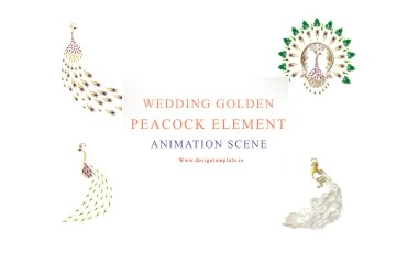 Wedding Golden Peacock Elements Animation After Effects Template