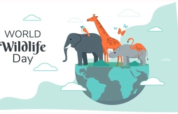 World Wild Life Day Wishes With Animals Vector Image image