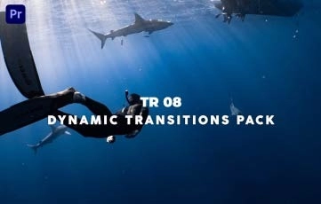 Dynamic Transitions Pack Premiere Pro Template