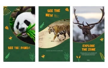 Wildlife Instagram Story After Effects Template 02
