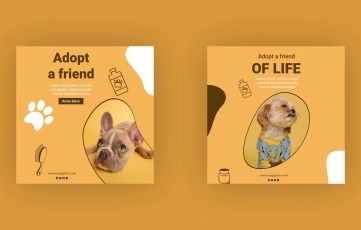 Pet Adoption Information Instagram Post AE Template