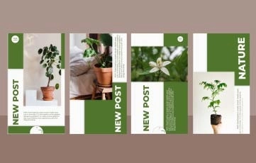 Plants Sale Information Instagram Story After Effects Template