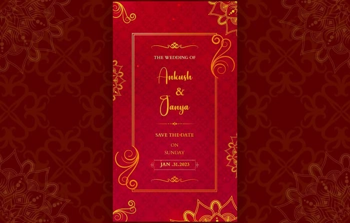 Golden Elements Wedding Invitation Instagram Story After Effects Template