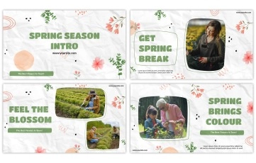 Spring Season Intro After Effects Template