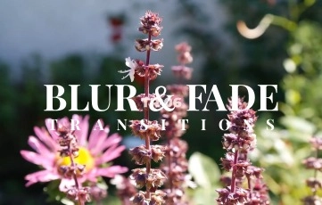 Blur And Fade Transitions Pack After Effects Template