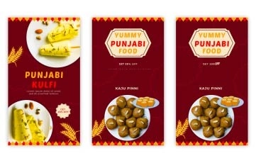 Punjabi Food Instagram Story After Effects Template