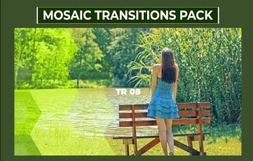 Quickly Create Seamless Mosaic Transitions Pack