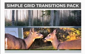 Fast And Easy Animation With Simple Grid Transitions Pack