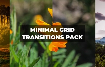Minimal Grid Transitions After Effects Template
