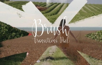 Brush Transitions Pack After Effects Templates