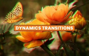 Dynamics Transitions Pack