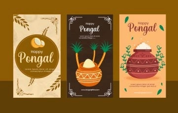 Pongal Instagram Story After Effects Template