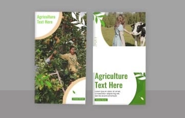 Agriculture Instagram Story After Effects Templates