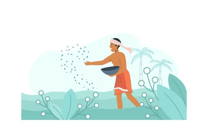 An Indian Farmer Spreading Fertilizer In The  Field Illustration Premium Vector image