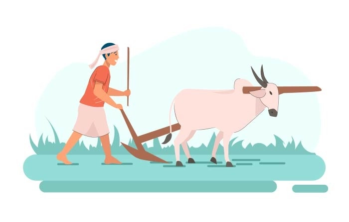Vector Illustration Of An Indian Farmer Plowing Field With A Harnessed Ox image