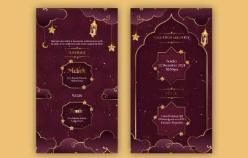 Golden Elements Wedding Invitation Story After Effects Template