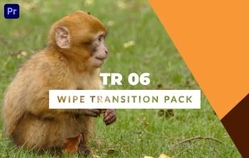 Wipe Transition Pack Premiere Pro Template