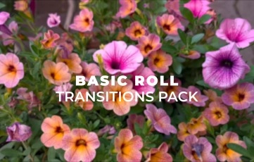 After Effects Templates Basic Roll Transitions Pack