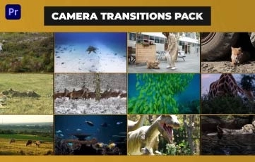 Animals Camera Transitions Pack Premiere Pro Template