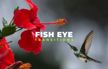 After Effects Template Fish Eye Transitions Pack