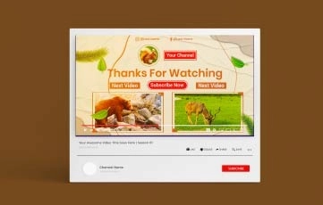 Save The Wildlife YouTube End Screen After Effects Template