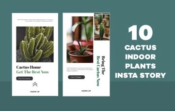 Cactus Indoor Plants Instagram Story After Effects Template