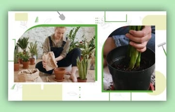 Plants Cultivation Slideshow After Effects Template