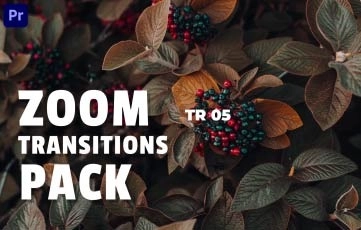 Basic Roll Transitions Pack Premiere Pro Template