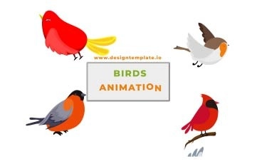 Bird Animation Scene Pack After Effects Template